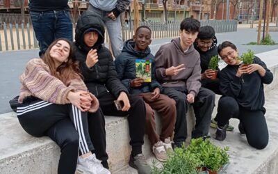 Diversitas promou un espai d’hort amb el suport del projecte Avança + Tasta Oficis
