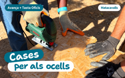 Construïm casetes per als ocells a Matacavalls